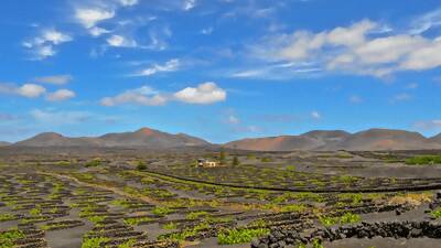 Lanzarote Vulkane von Timanfaya und Höhlen-Tour mit Lunch